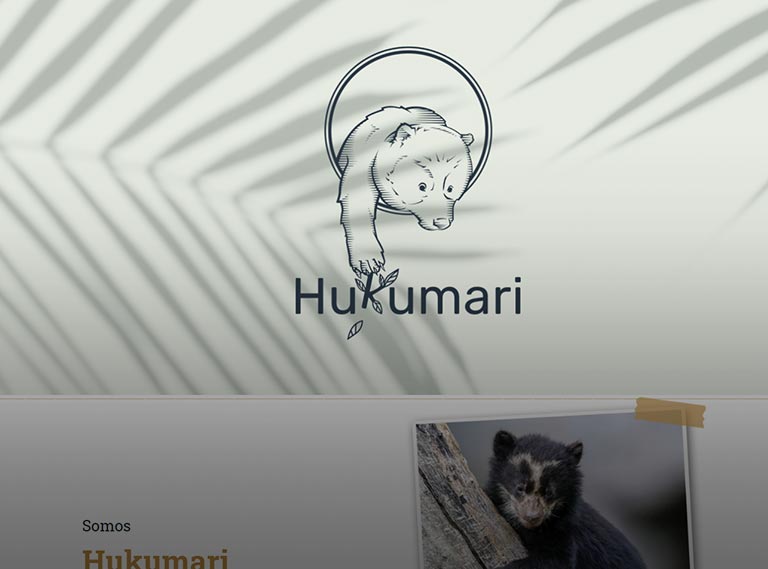 hukumari-web-agencia-join-studio-diseno